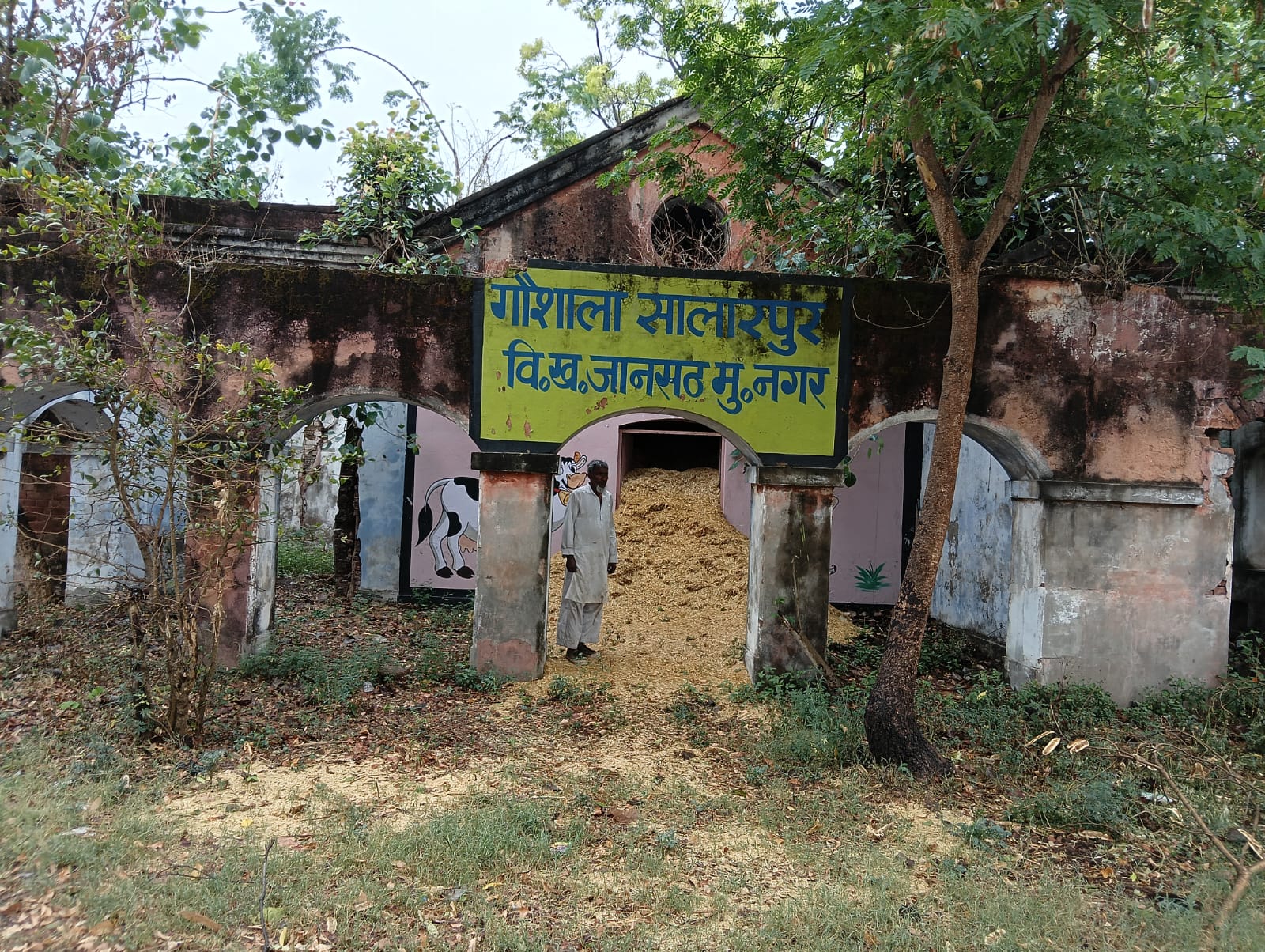 उप मुख्य पशु चिकित्सा अधिकारी एनिमल